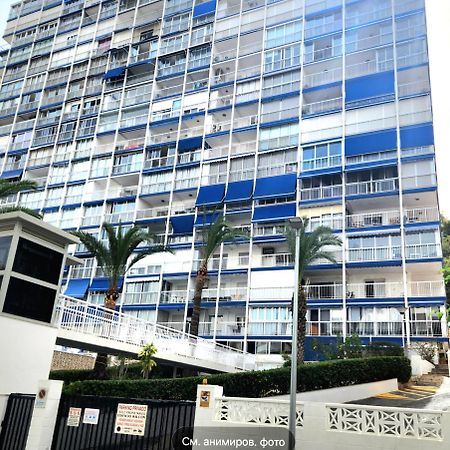 Apartment Alcalde Manuel Catalán Luxury Benidorm Exterior foto